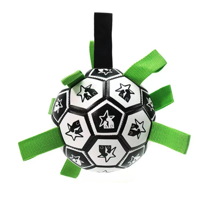 Juego cerebral de fútbol interactivo para perros
