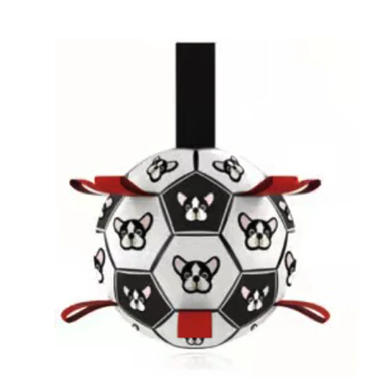 Juego cerebral de fútbol interactivo para perros