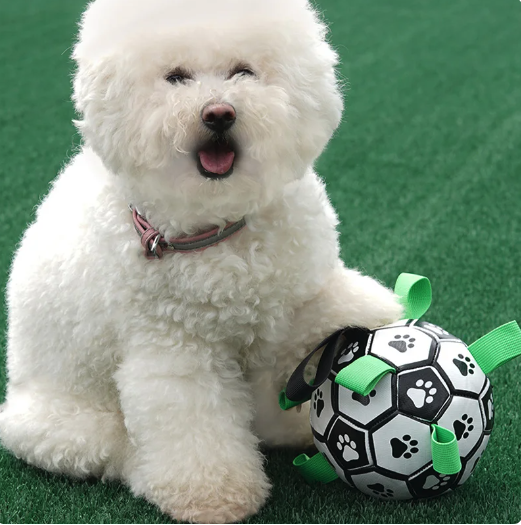 Juego cerebral de fútbol interactivo para perros