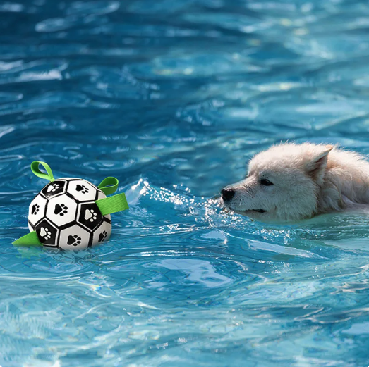 Juego cerebral de fútbol interactivo para perros