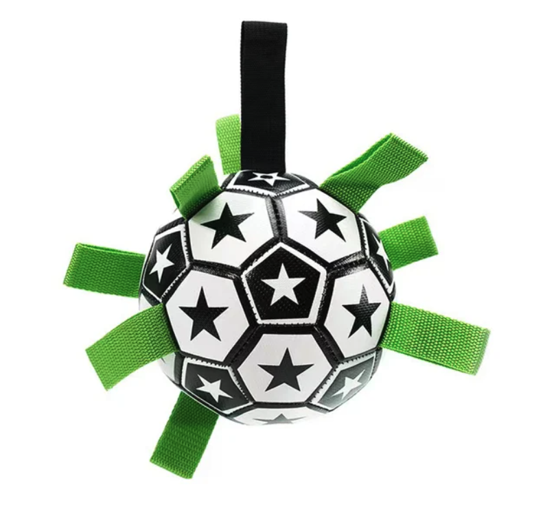 Juego cerebral de fútbol interactivo para perros